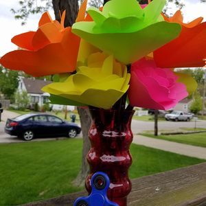 Meet your Posher, Sandy